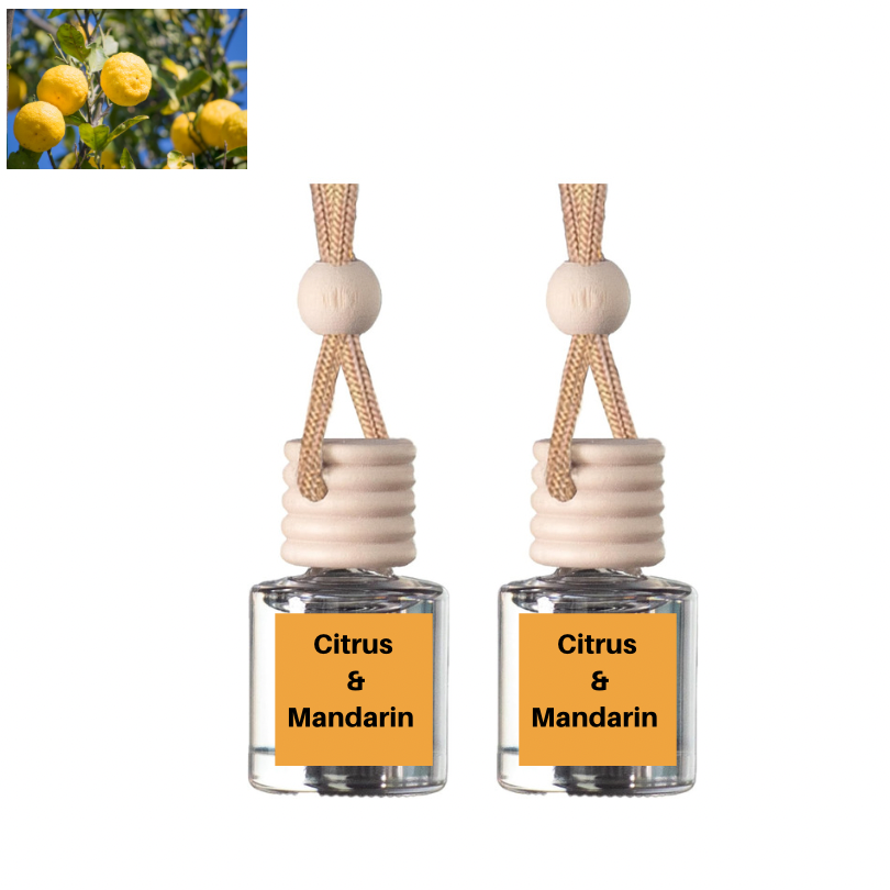 CHOOSE your own Car Air Freshener Scent